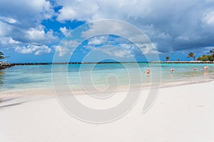 Flamingos on the beach