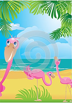 Flamingos on beautiful tropical beach