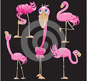 Flamingos cartoons