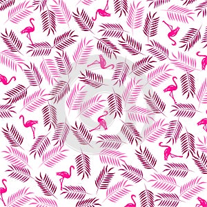 Flamingos and fern leaves on white background