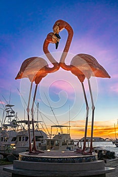 Flamingos at harbor at Oranjestad, Aruba during sunset.