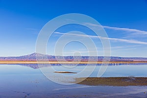 Flamingos, lake, colours and distant mountains in Los Flamencos National Reserve