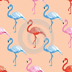 Flamingos bird vector seamless pattern.
