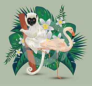 flamish with lemur and flowers plants with leaves photo