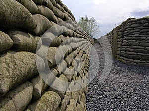 Flanders' fields