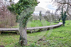Flanders organic orchard with curved wooden elevated walkway bridge over green grass