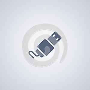 Flash card , usb, vector best flat icon