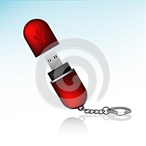 Flash Drive Keychain Icon