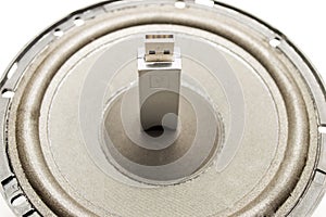 A flash drive USB and speaker