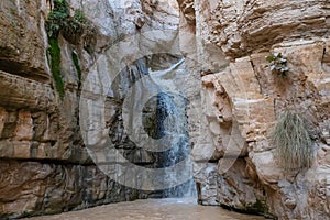 Flash flood, in the heart of the Ein Gedi Nature reserve