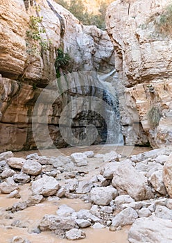 Flash flood, in the heart of the Ein Gedi Nature reserve