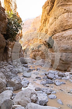 Flash flood, in the heart of the Ein Gedi Nature reserve