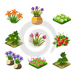 Flash Game Gardening Elements Set