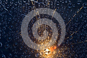 Flash of light is reflected in transparent water droplets against the background of the night sky.