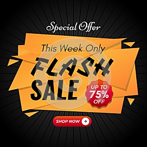 Flash Sale Banner with 75% off Discount Tag. Shop Now. Special Offer.