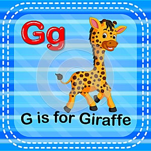 Flashcard letter G is for giraffe