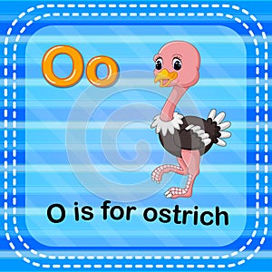 Flashcard letter O is for ostrich