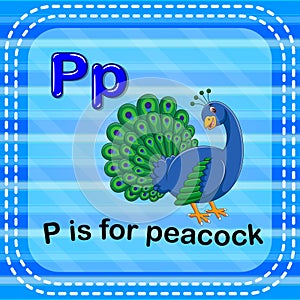 Flashcard letter P is for peacock