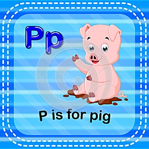 Flashcard letter P is for pig