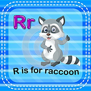 Flashcard letter R is for raccoon