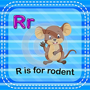 Flashcard letter R is for rodent