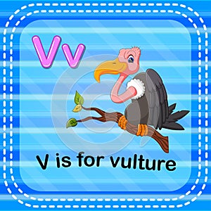 Flashcard letter V is for vulture