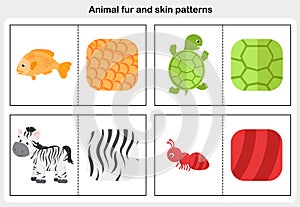 Flashcards animal fur and skin pattern.