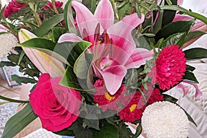 Flashpoint pink and white Oriental Trumpet Lily closeup