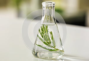 Flask with plant on table in laboratory