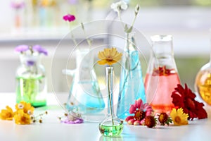 Flask with plant on table in laboratory