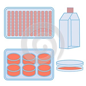 Flask and plates for cell cultivating