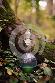 Flask with potion in wood