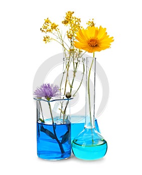 Flasks and beaker with flowers on white background