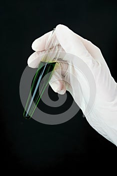 Flasks with hands and colored liquids