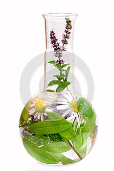 Flasks with medicinal herbs