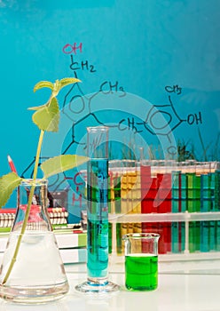 Flasks, test tubes with liquids, plants and formulas on blue.