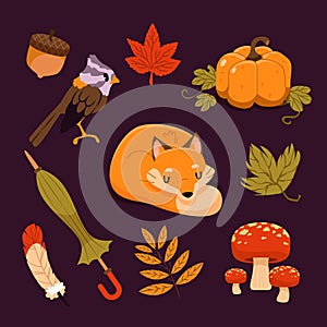 Flat autumn celebration elements set Vector illustration