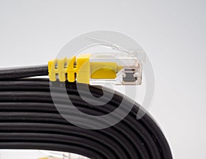 Flat black network cable on a white background.