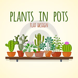 Flat cactuses and home plantas vector concept photo