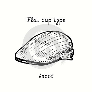 Flat cap type, ascot. Ink black and white drawing illustration photo