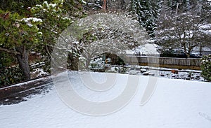 Flat carport roof covered in snow, trees and garden, residential neighborhood