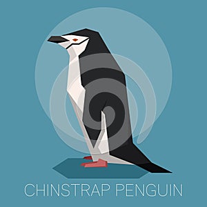 Flat Chinstrap Penguin