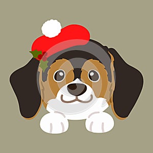 Flat colored adorable dark tri colored Beagle front face with paws Christmas style