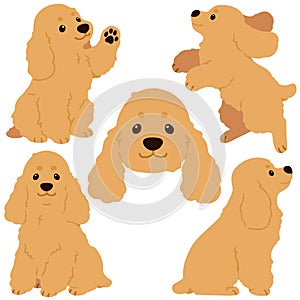 Flat colored adorable simple English Cocker Spaniel illustrations