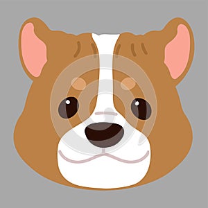 Flat colored adorable and simple Pitbull front head