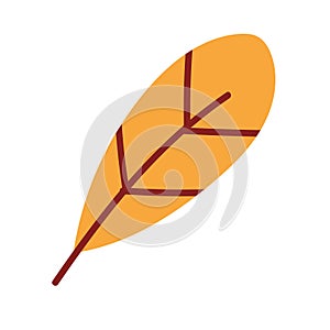 Flat colored autumn leaf icon Vector