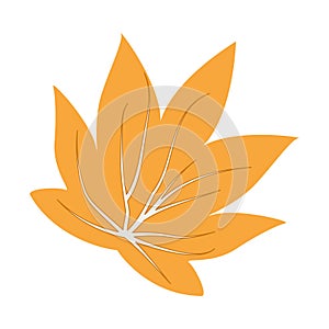 Flat colored autumn leaf icon Vector