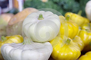 Flat colored zucchini