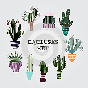 Flat colorful illustration of succulent plants and cactuses in pots.