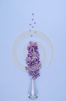 Flat composition of a bouquet of lilacs and flowers in a glass vase on a light blue background. Flat lay, vertical backgroundound